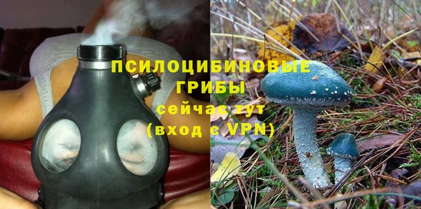 дурь Алексин