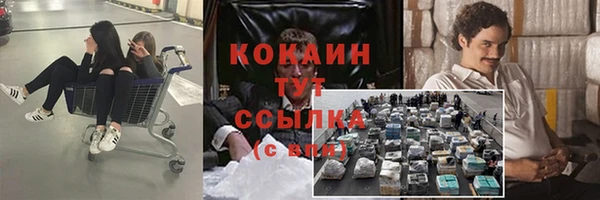 ешки Алзамай