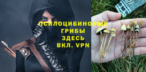 дурь Алексин