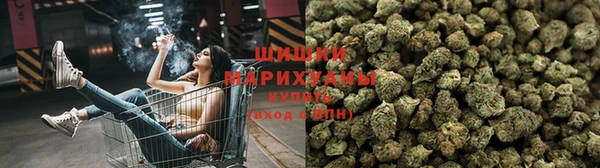 ешки Алзамай