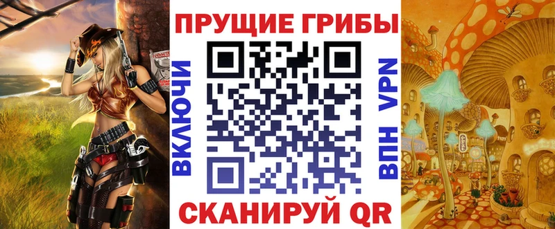 где купить наркоту  Сясьстрой  Галлюциногенные грибы Magic Shrooms 