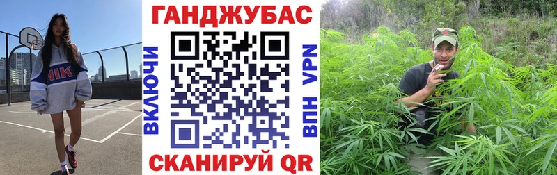продажа наркотиков  OMG ONION  Канабис индика  Сясьстрой 